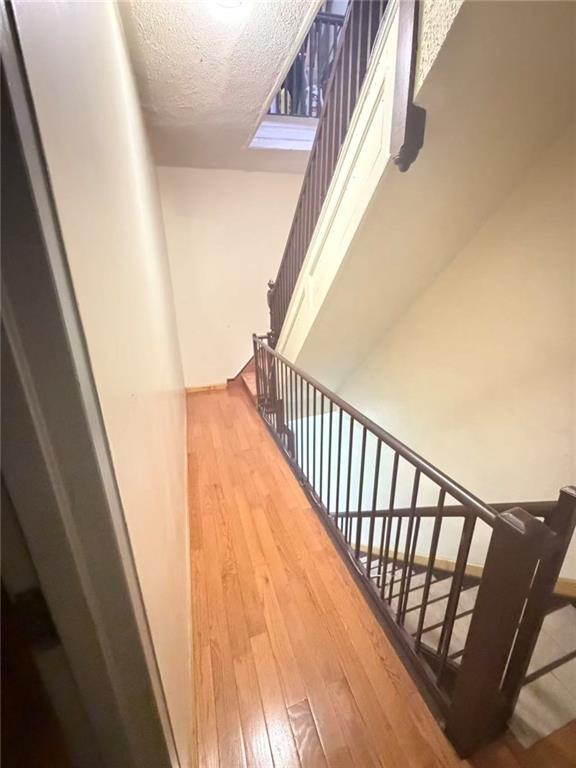 6215 20th Avenue Bensonhurst Brooklyn NY 11204
