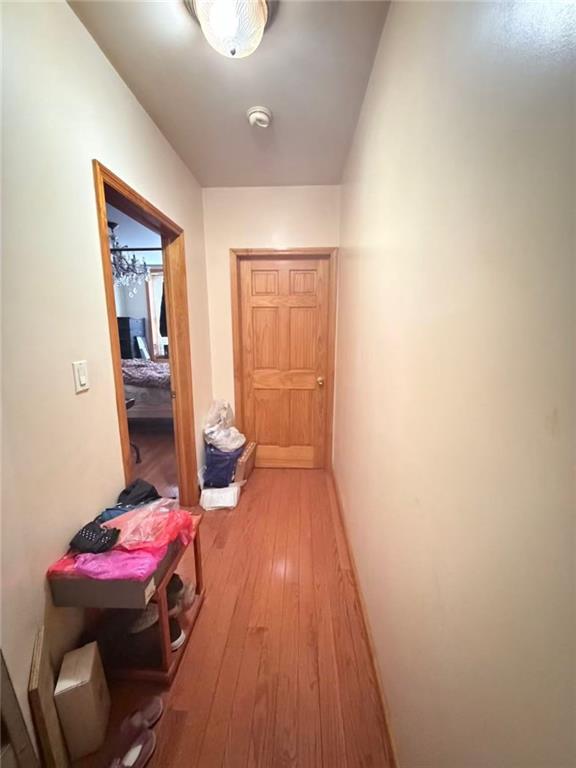 6215 20th Avenue Bensonhurst Brooklyn NY 11204