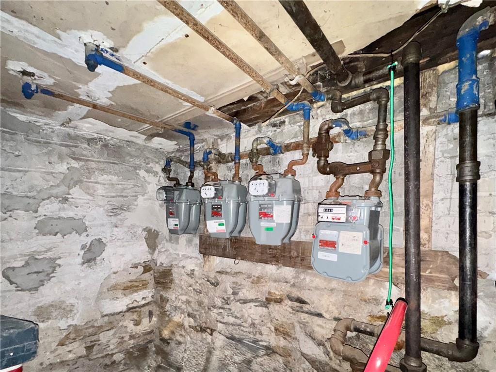 817 Crown Street Crown Heights Brooklyn NY 11213