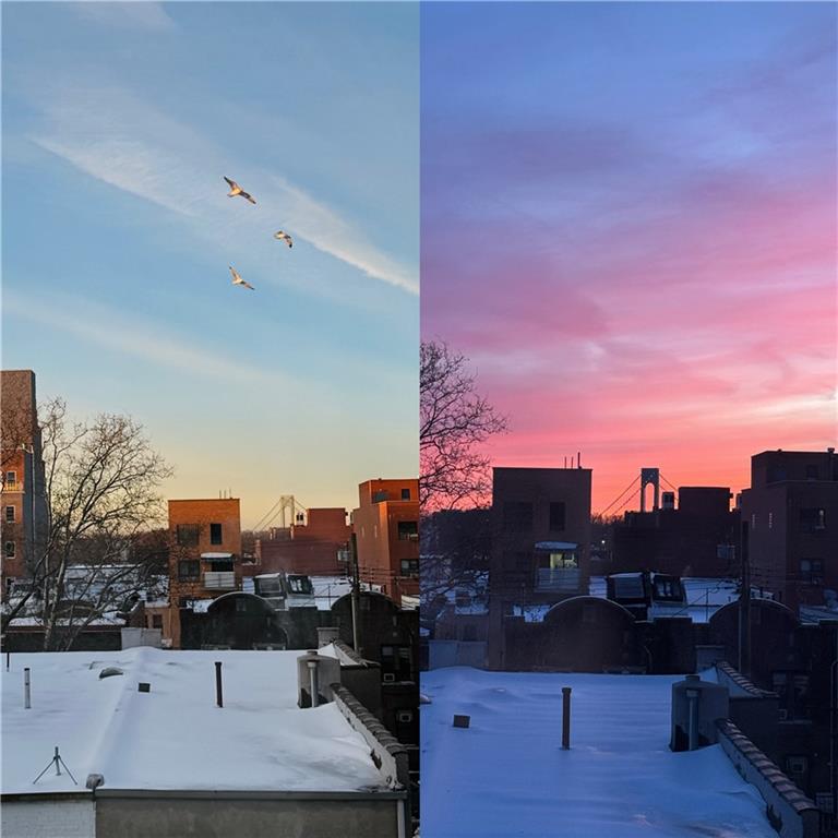 914 58th Street Sunset Park Brooklyn NY 11220