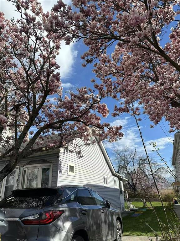 55 Lansing Street Arrochar Staten Island NY 10305