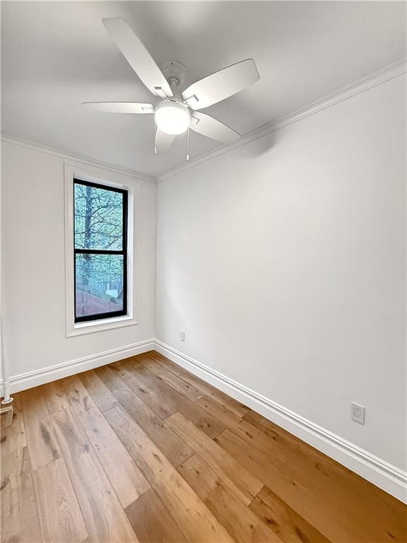 249 11th Street Park Slope Brooklyn NY 11215