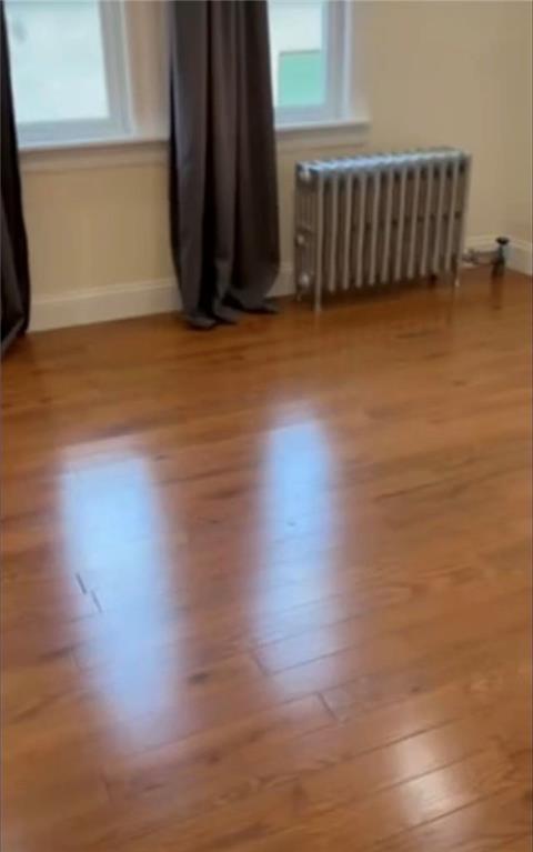 161 East 56th Street East Flatbush Brooklyn NY 11203