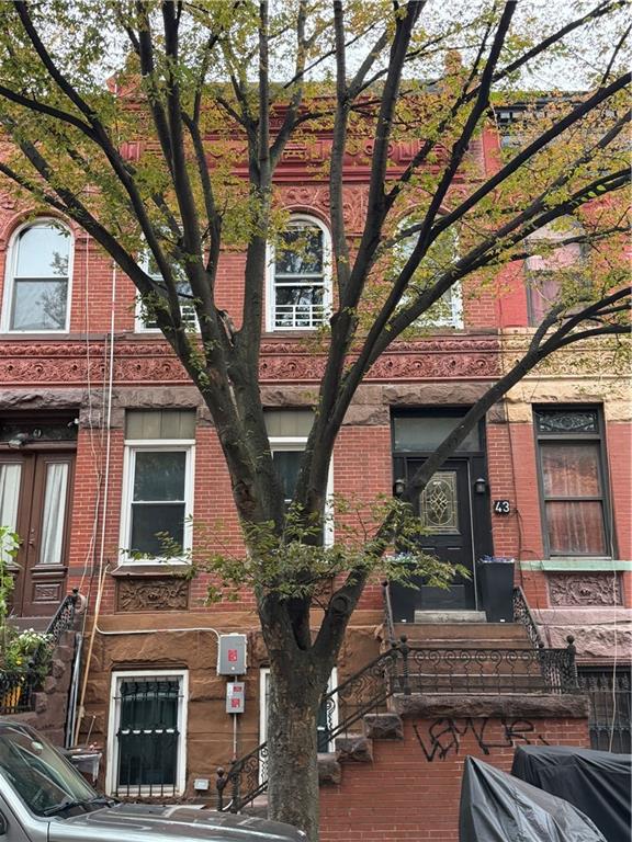 43 Linden Street Bushwick Brooklyn NY 11221