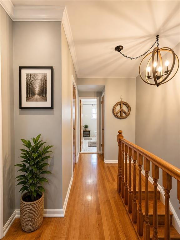 8974 15th Avenue Dyker Heights Brooklyn NY 11228
