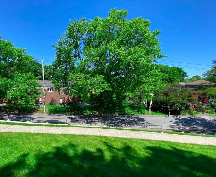 166 Arlo Road Grymes Hill Staten Island NY 10301