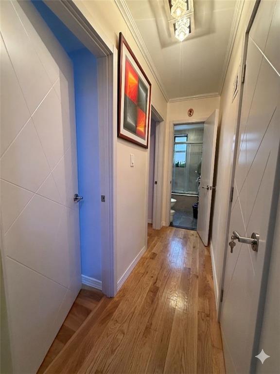2514 East 7 Street Sheepshead Bay Brooklyn NY 11235