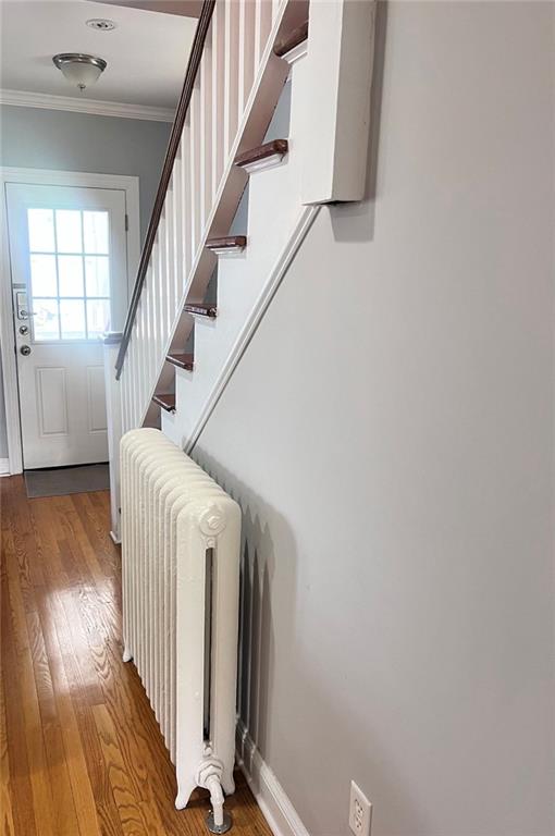 69 69 Treno Street Out of NYC New Rochelle NY 10801