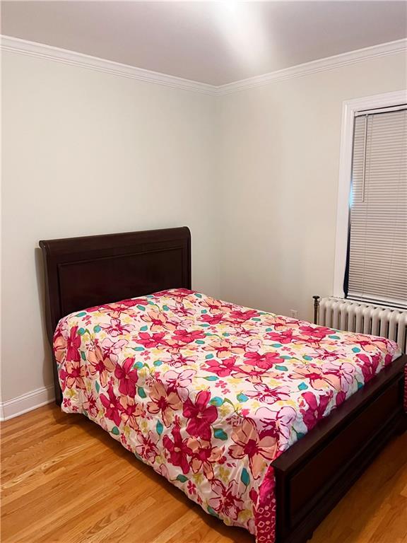 69 69 Treno Street Out of NYC New Rochelle NY 10801