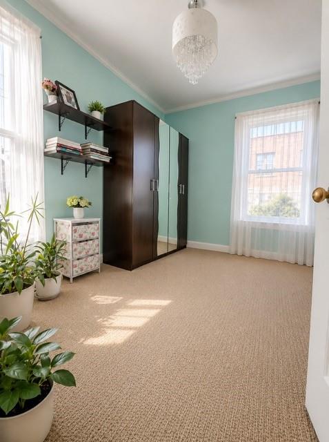 2302 East 23rd Street Sheepshead Bay Brooklyn NY 11229