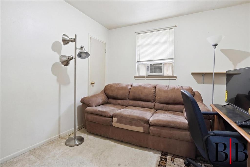 1169 East 56th Street Old Mill Basin Brooklyn NY 11234