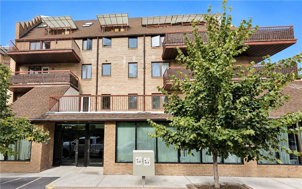 3567 Shore Parkway Sheepshead Bay Brooklyn NY 11235