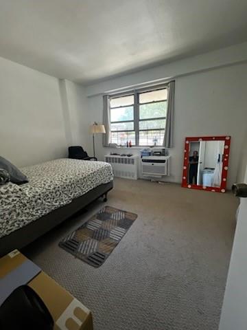 240 Cozine Avenue East New York Brooklyn NY 11207