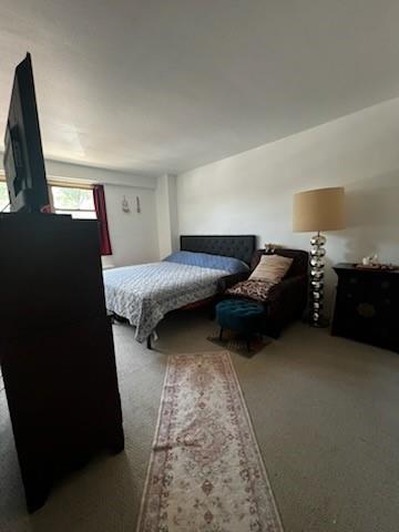 240 Cozine Avenue East New York Brooklyn NY 11207