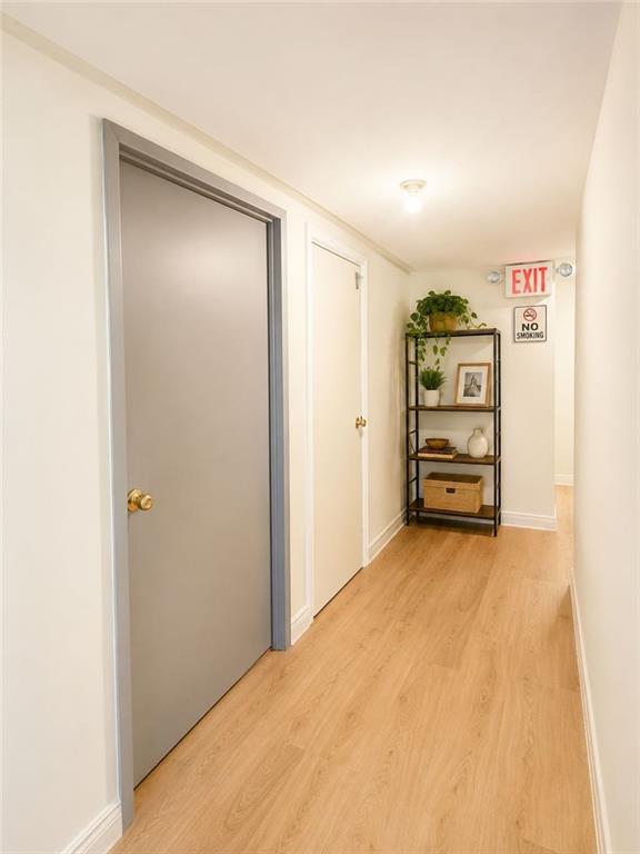 6113 23rd Avenue Bensonhurst Brooklyn NY 11204