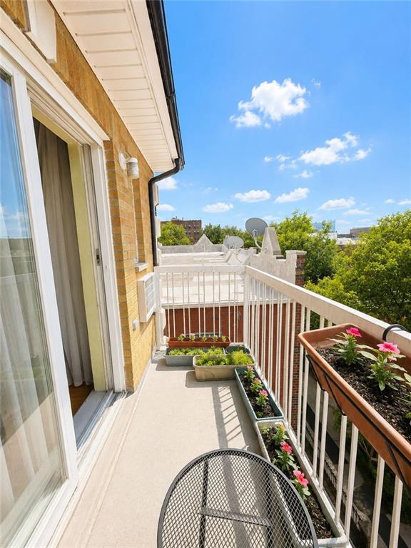 6113 23rd Avenue Bensonhurst Brooklyn NY 11204