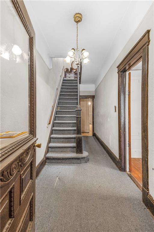358 72nd Street Bay Ridge Brooklyn NY 11209