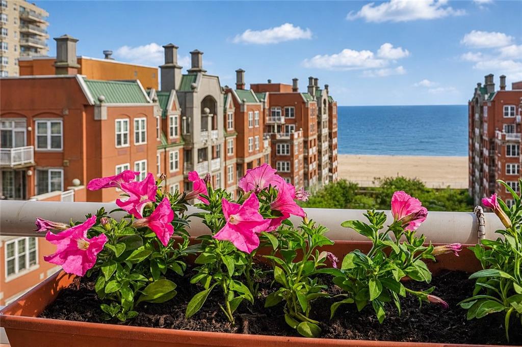 65 Oceana Drive Brighton Beach Brooklyn NY 11235