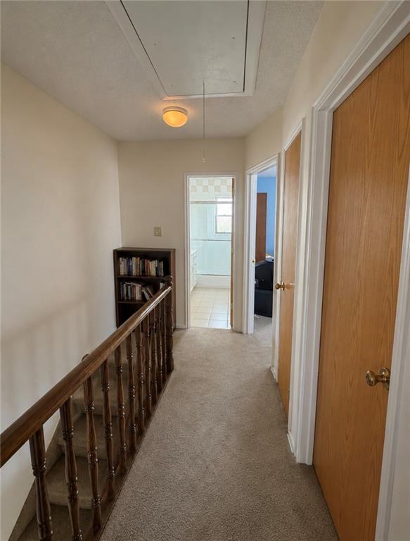1349 East 103rd Street Canarsie Brooklyn NY 11236