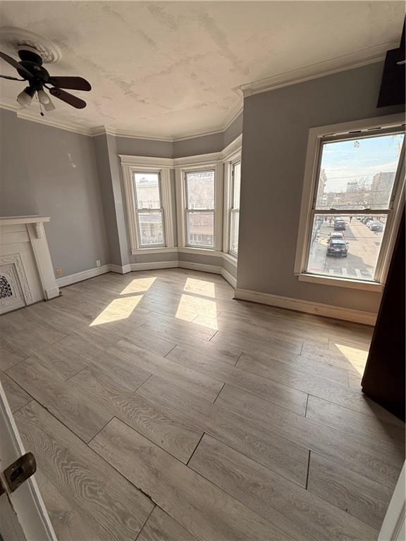 88-25 75th Street Woodhaven Queens NY 11421
