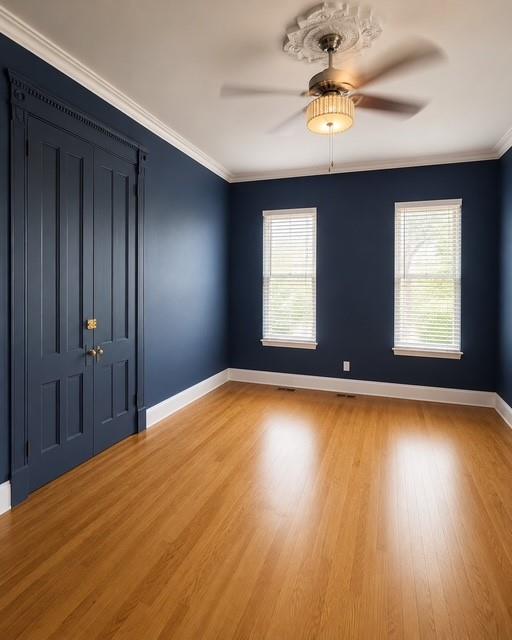 219 Cornelia Street Bushwick Brooklyn NY 11221