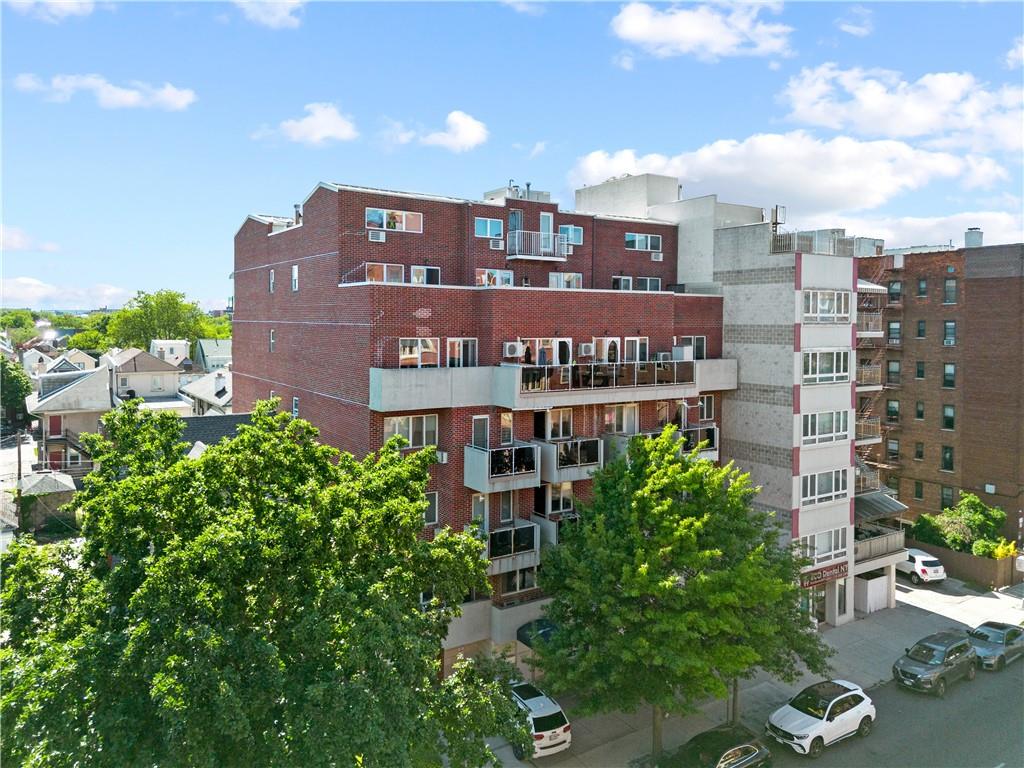 2388 Ocean Avenue Midwood Brooklyn NY 11229