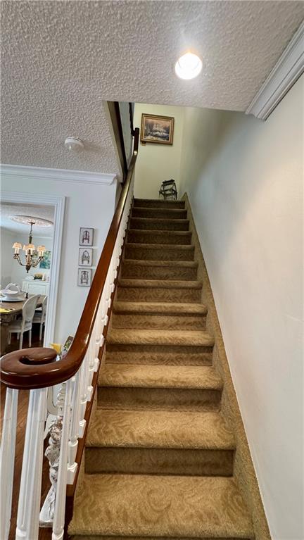 1051 82nd Street Dyker Heights Brooklyn NY 11228