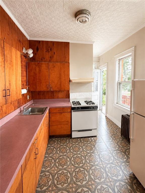 1171 44th Street Borough Park Borough Park NY 11219