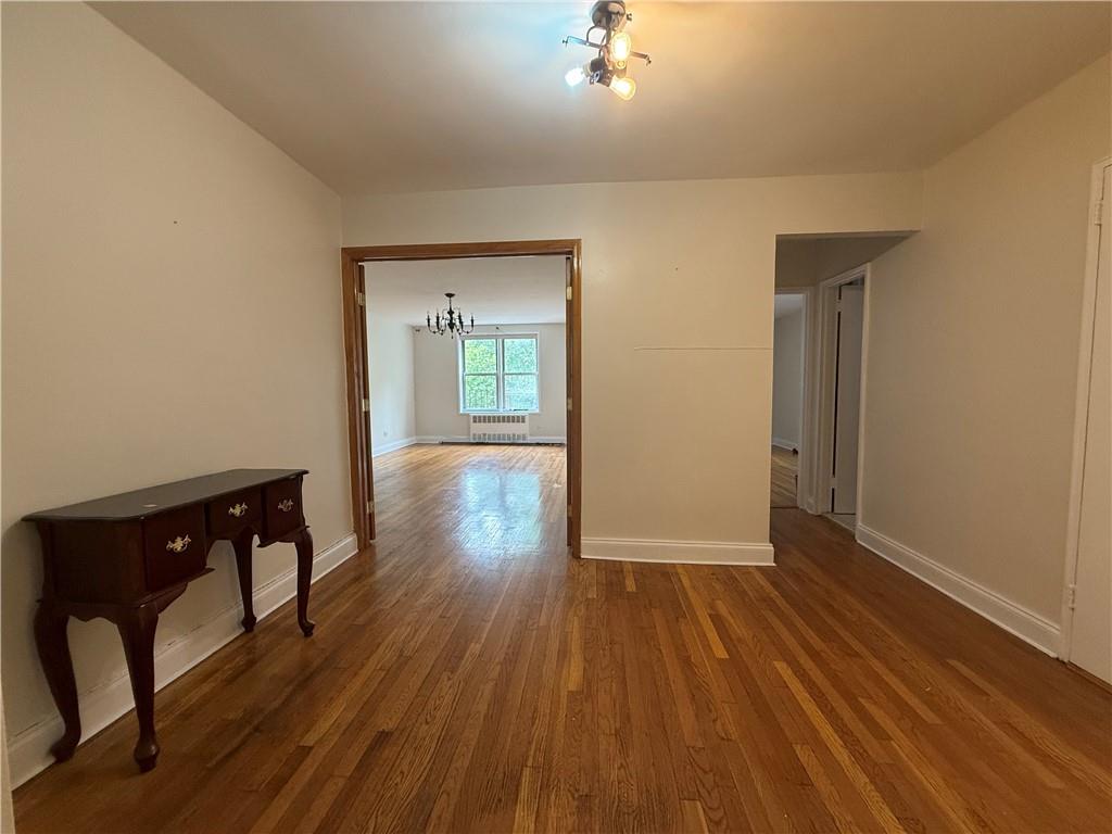 3203 Nostrand Avenue Madison Brooklyn NY 11229