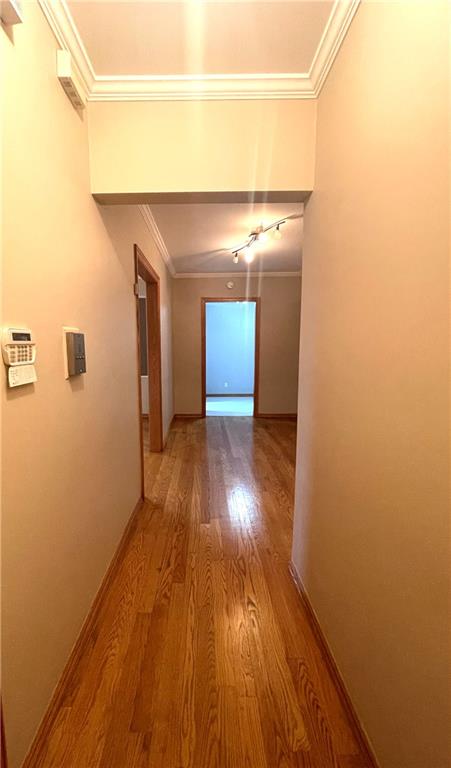 1289 East 19th Street Midwood Brooklyn NY 11230