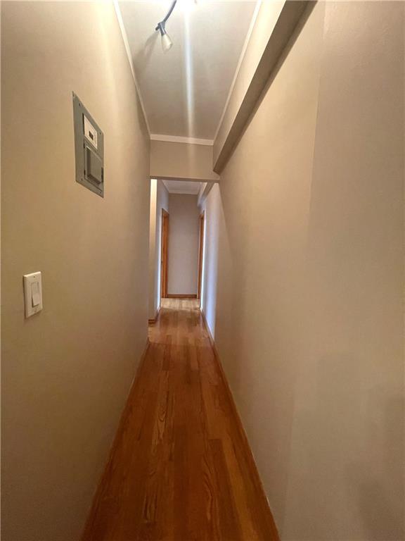 1289 East 19th Street Midwood Brooklyn NY 11230