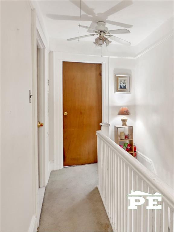 3220 Avenue K Midwood Brooklyn NY 11210