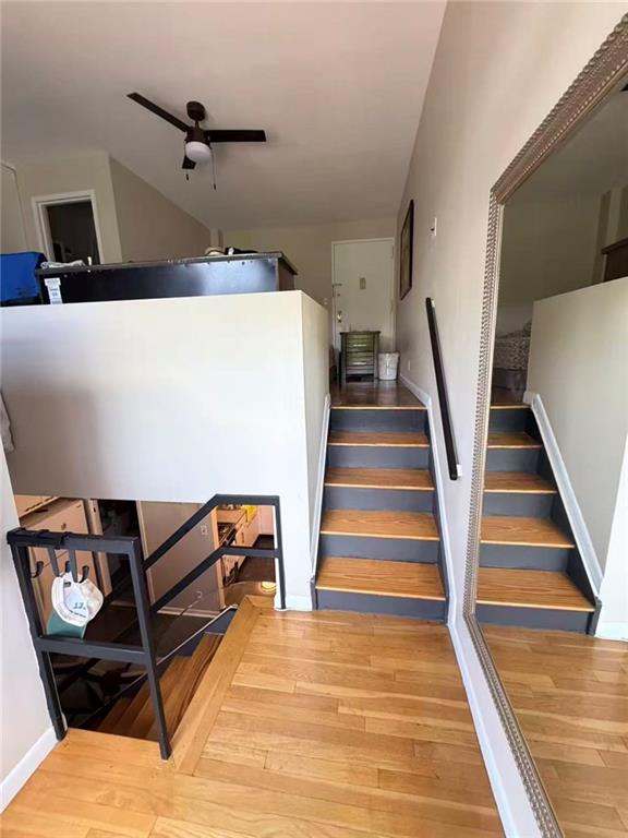 175 Zoe Street Grant City Staten Island NY 10305