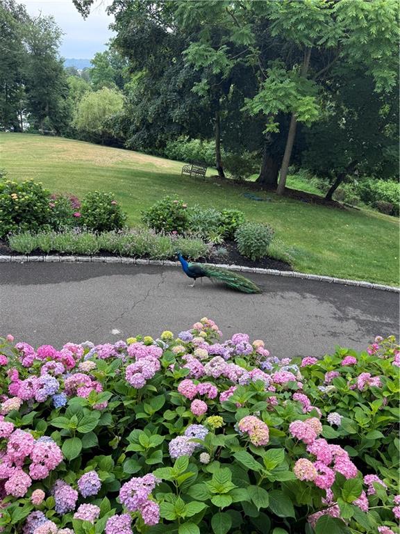 314 Mill Hill Road Out of NYC Nassau County NY 11765