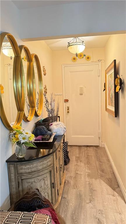 3655 Shore Parkway Sheepshead Bay Brooklyn NY 11235