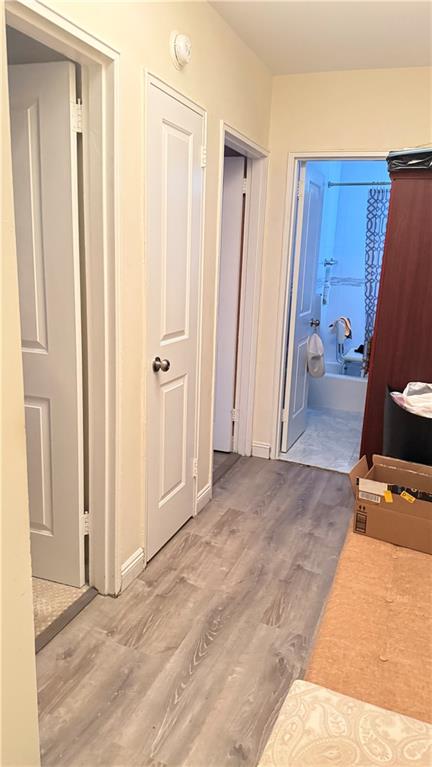 3655 Shore Parkway Sheepshead Bay Brooklyn NY 11235