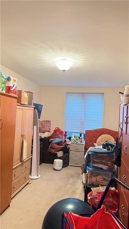 3655 Shore Parkway Sheepshead Bay Brooklyn NY 11235