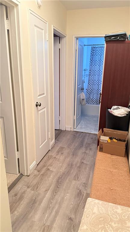 3655 Shore Parkway Sheepshead Bay Brooklyn NY 11235