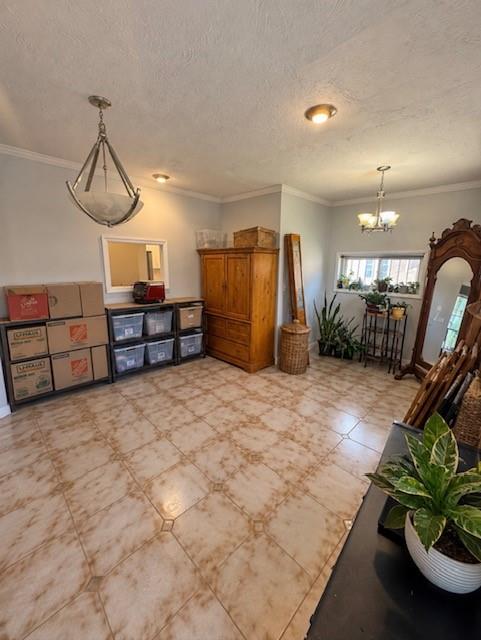 505 East 54th Street East Flatbush Brooklyn NY 11203