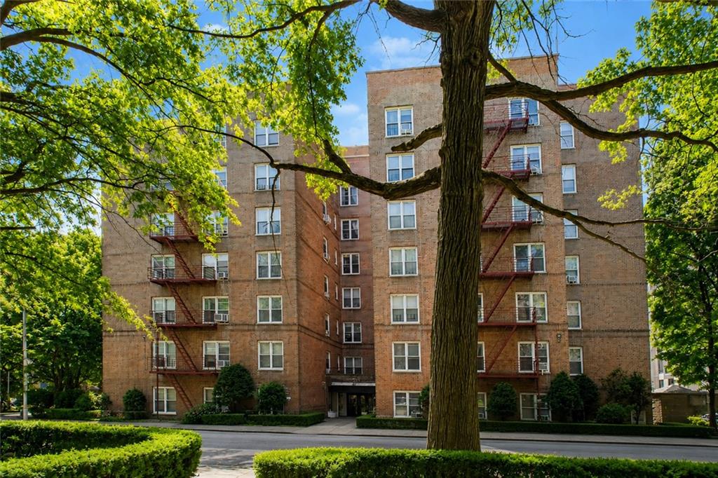 930 East 7th Street Midwood Brooklyn NY 11230