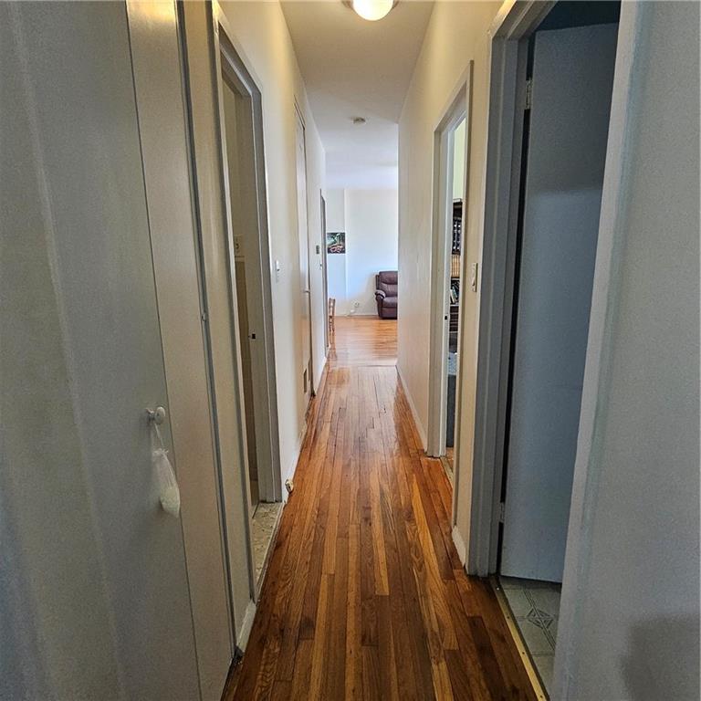 1430 43rd Street Borough Park Brooklyn NY 11218