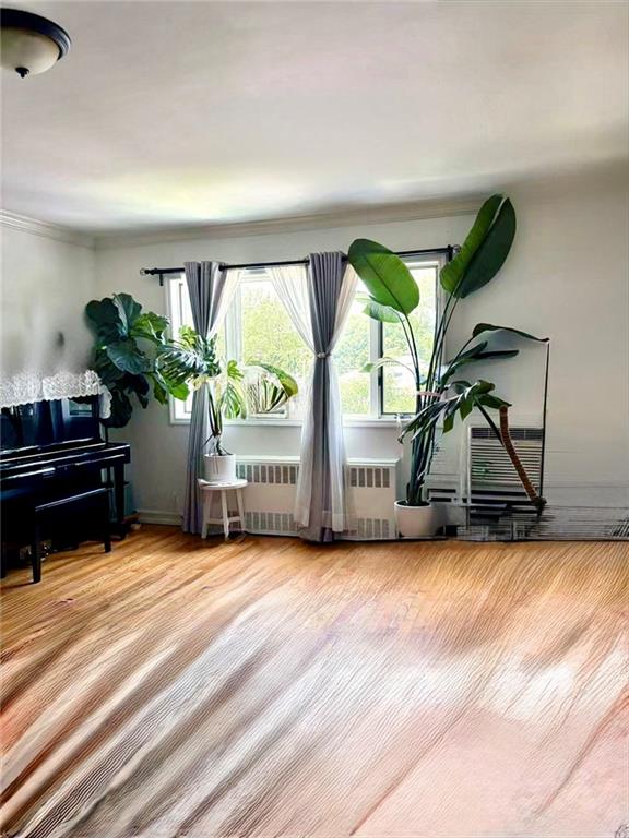 69-27 169th Street Fresh Meadows Fresh Meadows NY 11365