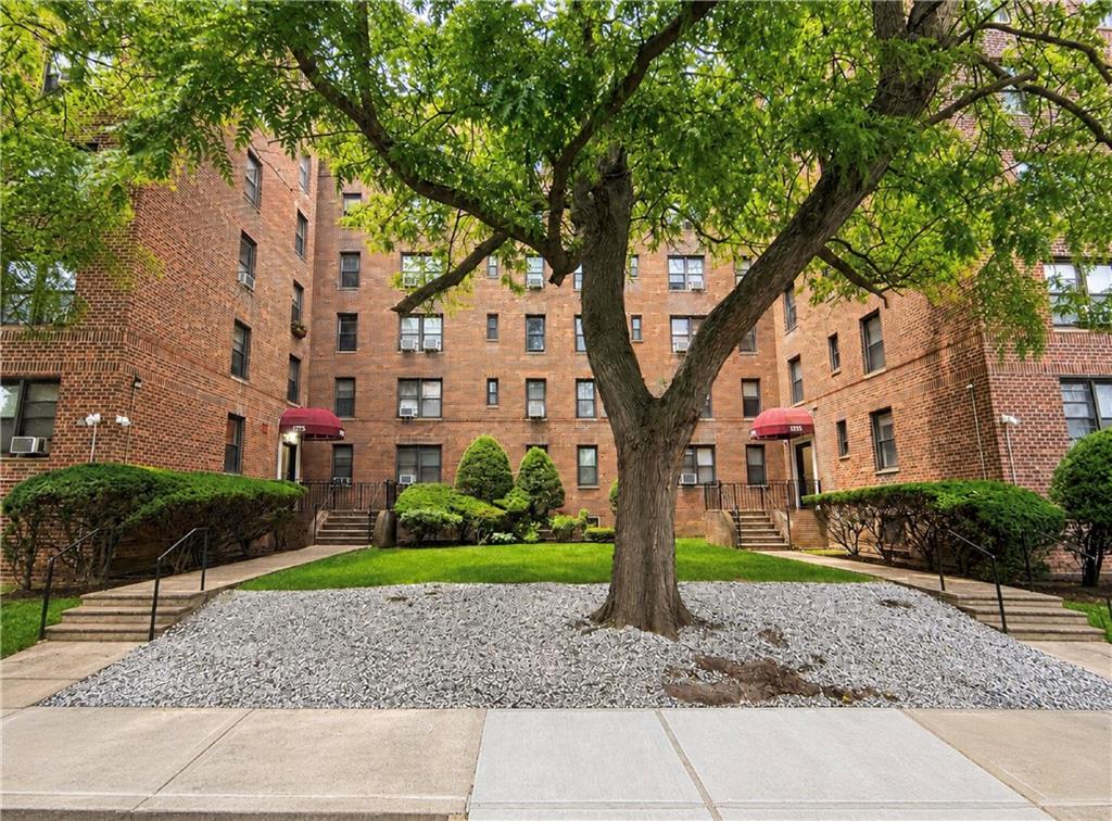 1275 East 5th Street Midwood Brooklyn NY 11230