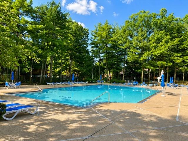 8 Rumson Road New Springville Staten Island NY 10314