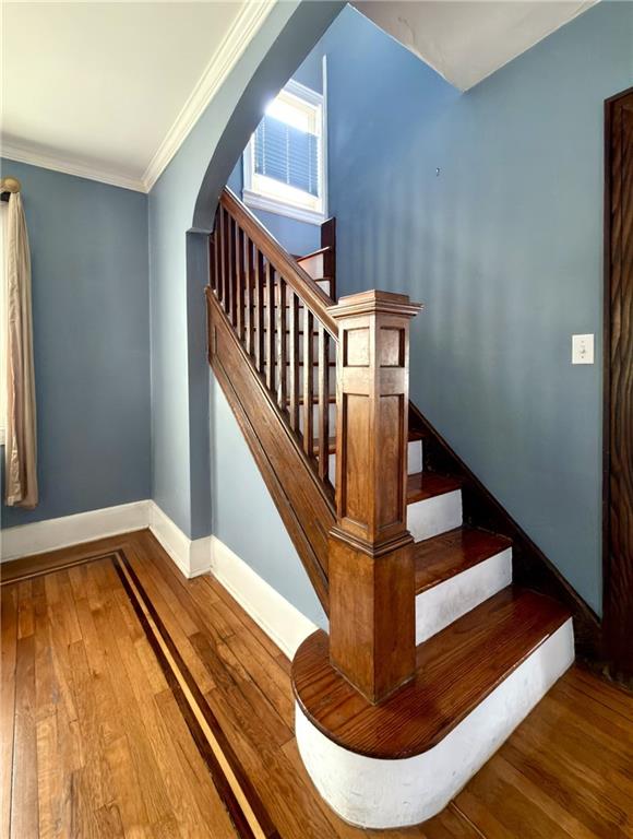 66 Holly Street Staten Island NY 10304