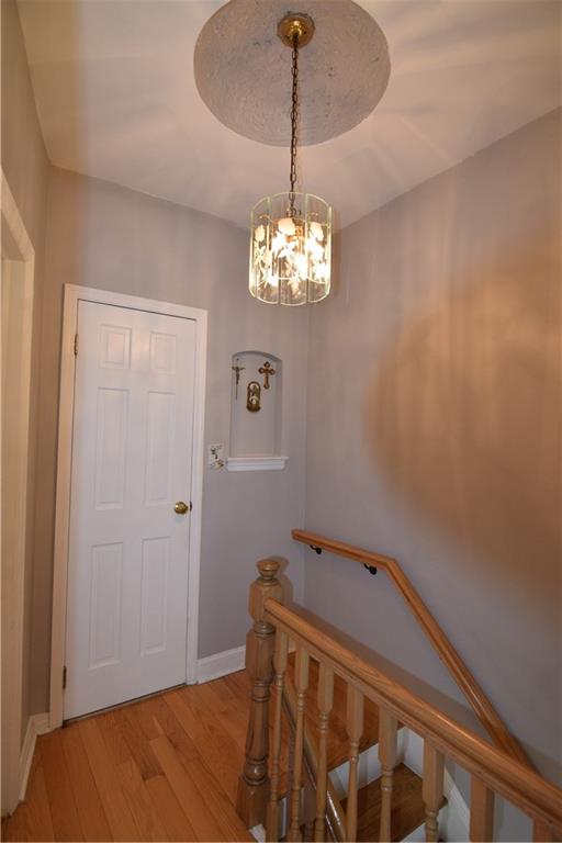 294 Bay 13th Street Bensonhurst Brooklyn NY 11214