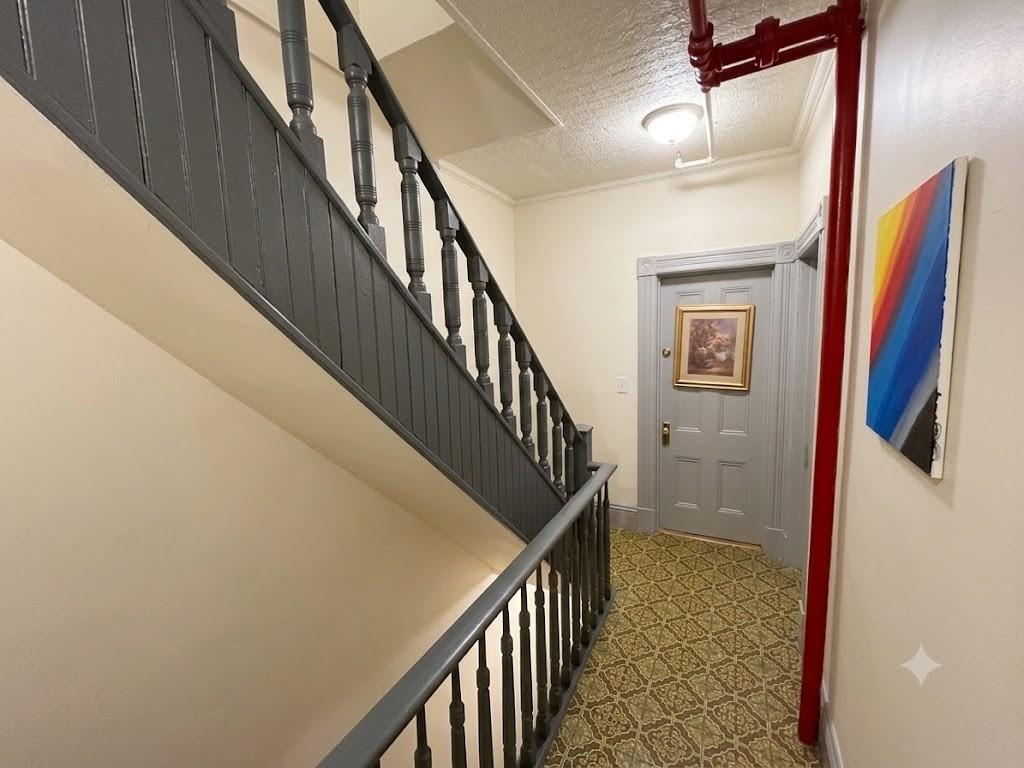 345 53rd Street Sunset Park Brooklyn NY 11220