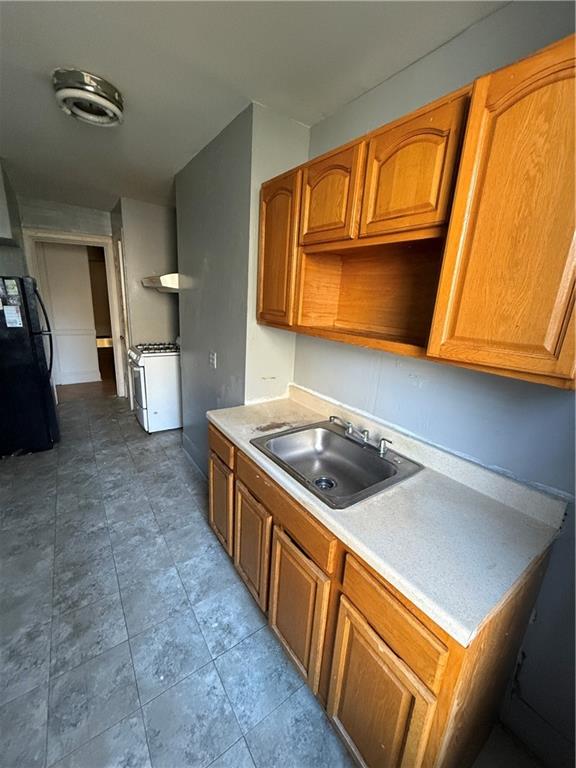 175 Chestnut Street Cypress Hills Brooklyn NY 11208