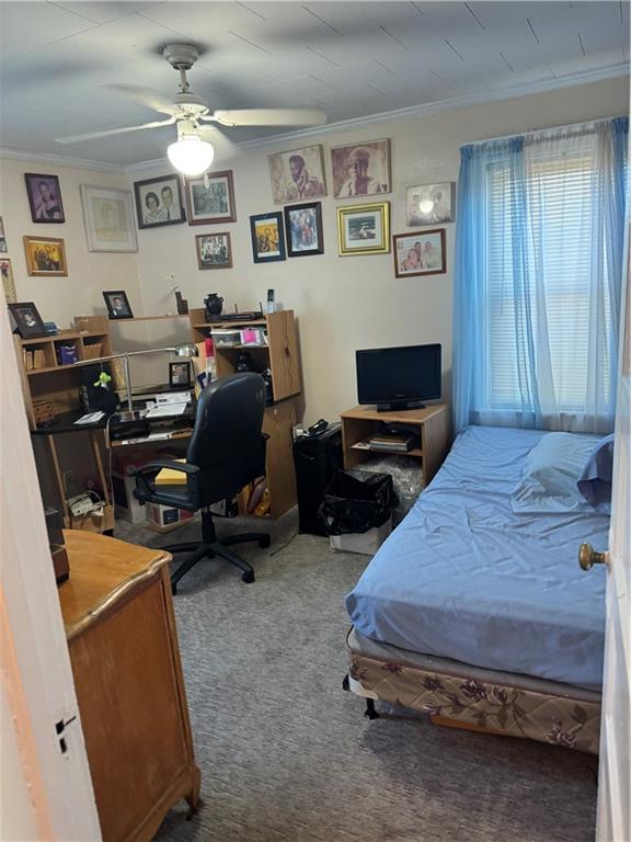 1339 SCHENECTADY Avenue East Flatbush Brooklyn NY 11203