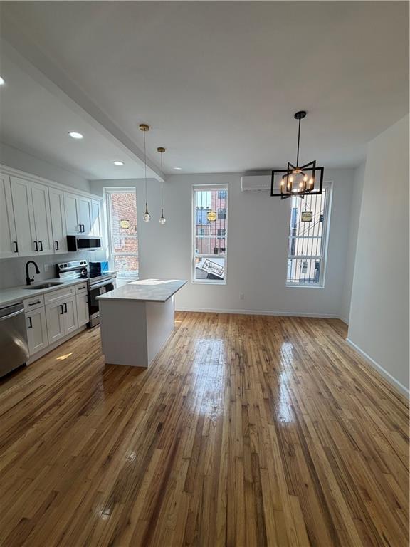 248 56th Street Sunset Park Brooklyn NY 11220